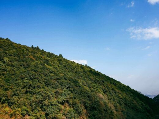 From Kathmandu: Chitlang Wine Tasting Tour and Short Hike