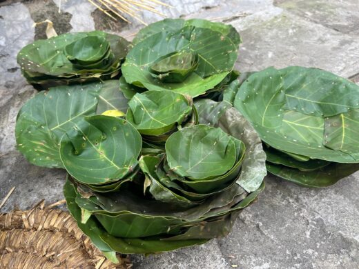 WhatsApp Image 2025-12-30 at 16.46.59