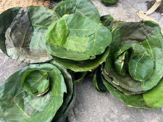 WhatsApp Image 2025-12-30 at 16.47.04 (1)