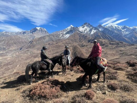 WhatsApp Image 2026-01-20 at 13.09.46