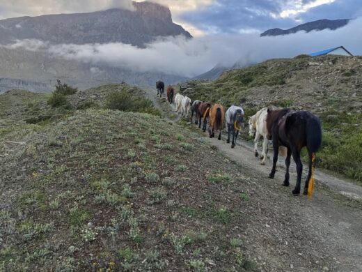 WhatsApp Image 2026-01-20 at 13.20.10