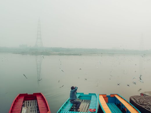 A vertical shot of colorful boats and seagulls flying over them and the river in Delhi, India.