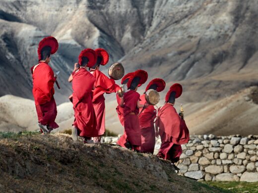 Horse trekking experience