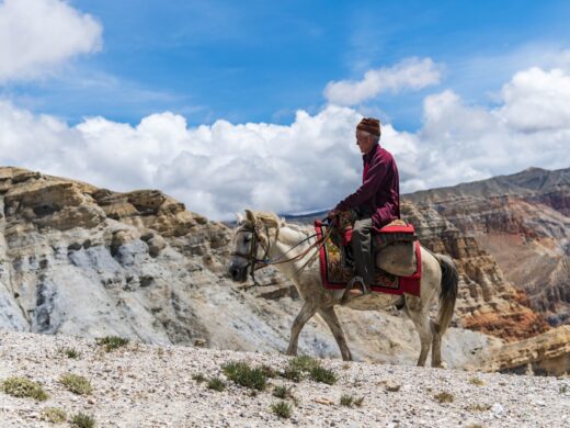 Nepal Horse trekking experience