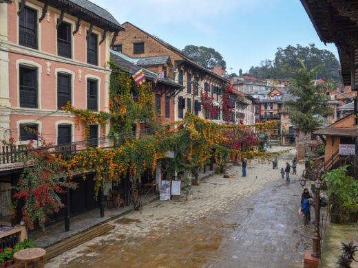 Horse trekking experience