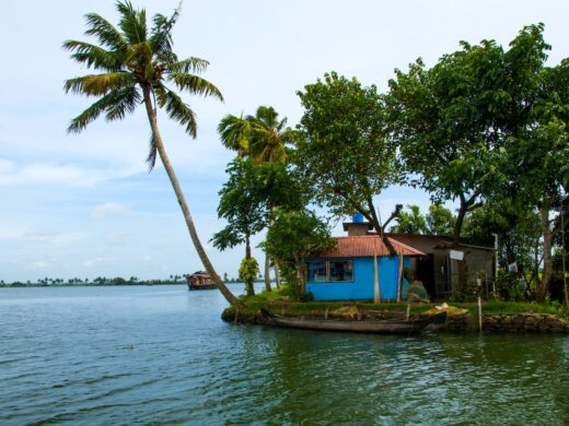 Landscape of Alleppey backwaters with coconut tree and reflection in water, Kerala, India.