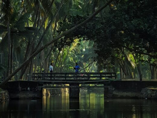 Scenic Kerala
