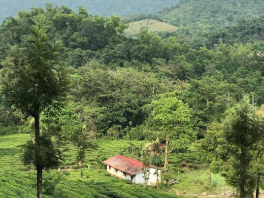 Scenic Kerala