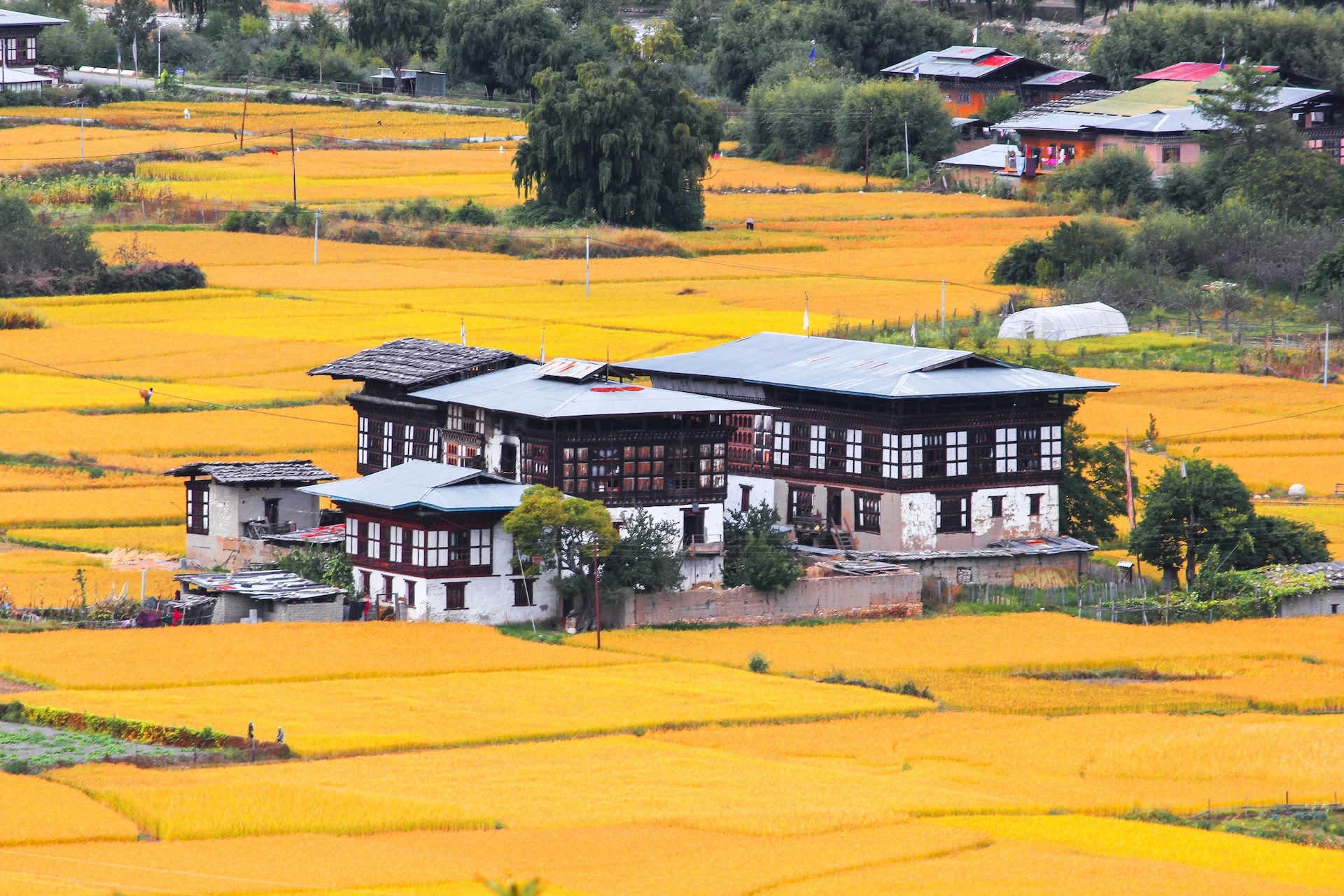 Farming life in Bhutan, the traditional way of farming and living