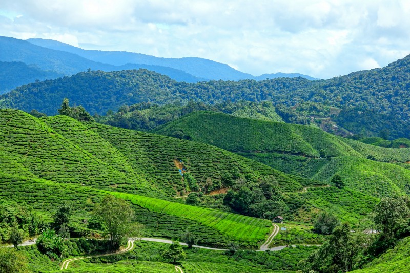 Nepal Experience - East Nepal