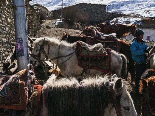 pexels-mash-babkova-116752476-20988029