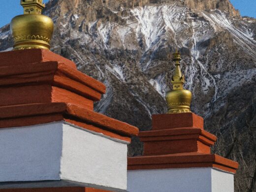 pexels-mash-babkova-116752476-20988032