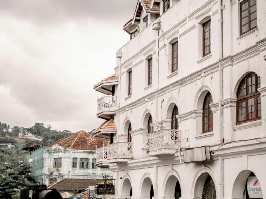 pexels-photo-20836970-kandy