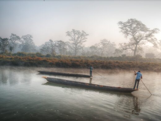 Nepal wildlife experience